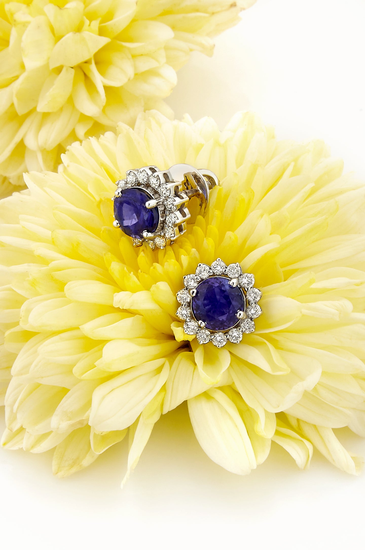 Tanzanite Flower Earrings